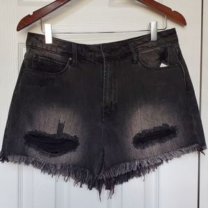 Articles of Society High Rise Distresses Black shorts